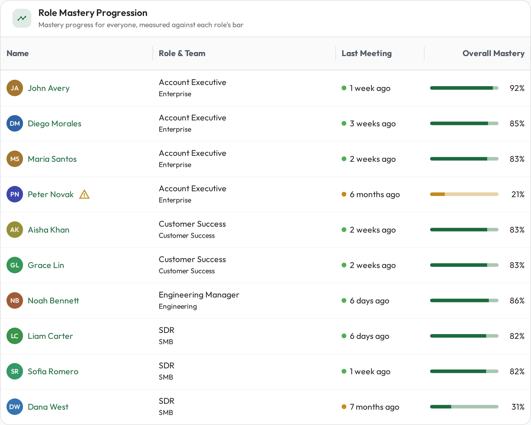 The Role Mastery report: a grid of people across their roles showing each person's overall mastery against the bar their role sets, with their role, team, and last meeting. Most are at or near full mastery, while one is flagged with a warning icon and an orange progress bar for sitting well below the bar.